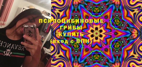 твердый Магас