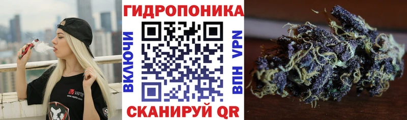 Канабис MAZAR  Луза 